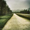 viale giallo